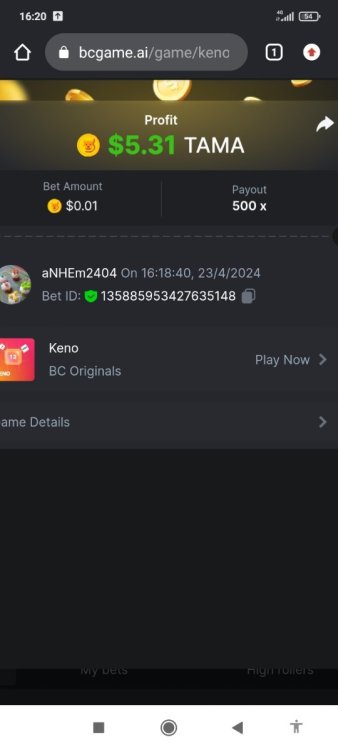 Screenshot_2024-04-23-16-20-02-260_com.android.chrome.jpg
